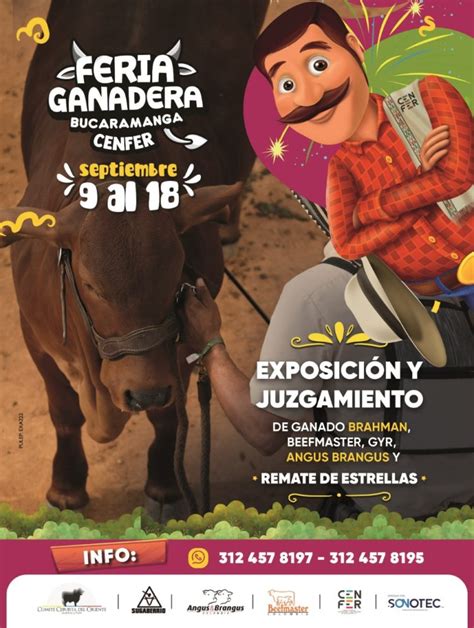 Esta Semana Es La Gran Feria Ganadera De Santander Colombia