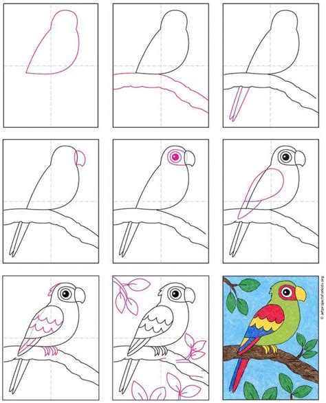 Easy How To Draw A Parrot Tutorial Video And Parrot Coloring Page