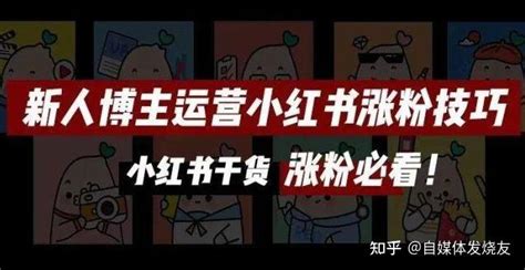 小红书新手必读躲避8大陷阱涨粉秘籍分享一 知乎