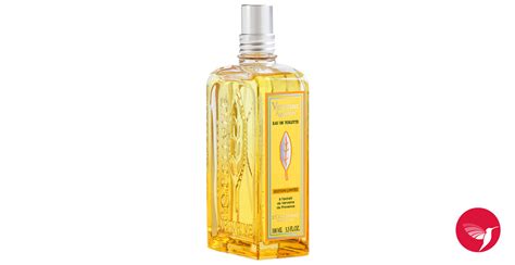 Verbena Citrus Loccitane En Provence Parfum Een Nieuwe Geur Voor