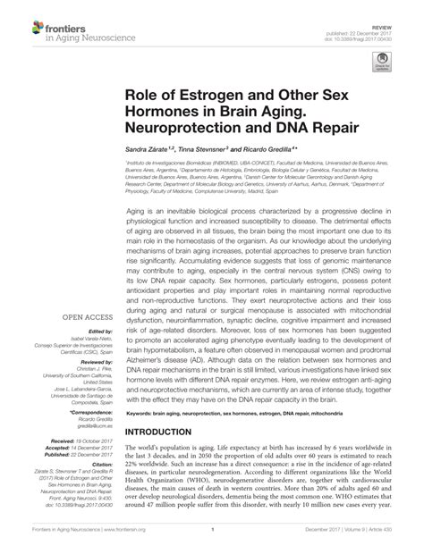 PDF Role Of Estrogen And Other Sex Hormones In Brain Aging Neuroprotection And DNA Repair