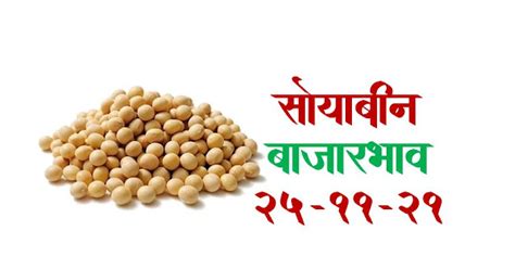 आजचे सोयाबिन बाजार भाव 251121 महाराष्ट्रातील बाजार समिति मधील सोयाबीन बाजार भाव Soybean