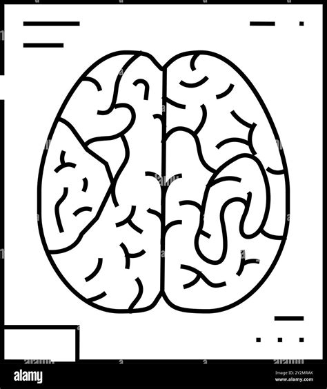 Functional Mri Neuroscience Neurology Line Icon Vector Illustration