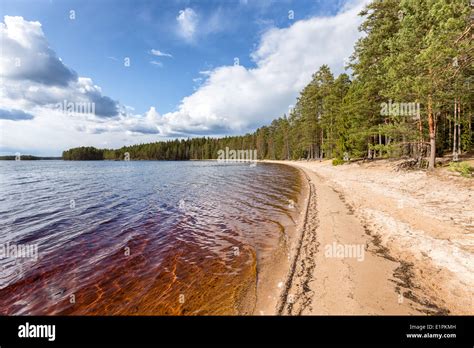 Helvetinjarvi National Park High Resolution Stock Photography and ...