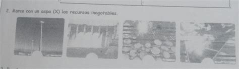 2 Marca Con Un Aspa X Los Recursos Inagotables Porfaa Brainly Lat