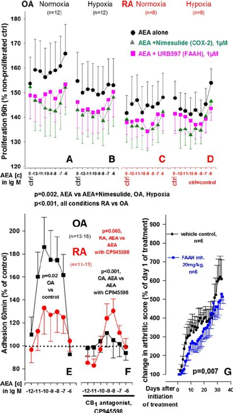 Influence Of Anandamide Aea On Proliferation And Adhesion Of Oasf And