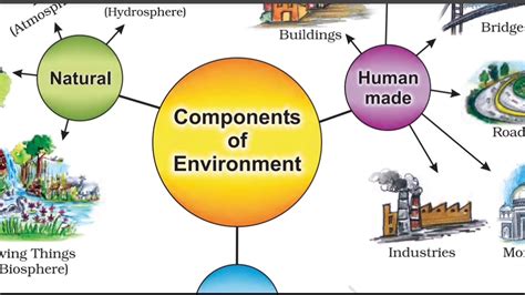 Chapter 1 Environment Class 7 Geography Youtube