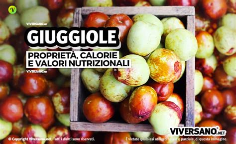 Giuggiole Propriet Calorie Come Si Mangiano E Benefici Del Frutto