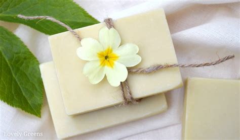 How to Make Neem Oil Soap for Eczema