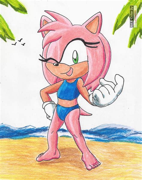 Amy Rose On The Beach By Leinad56 On Deviantart