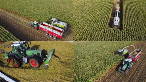 Ensilage de maïs 2023 au GAEC du SOLEIL D OR avec la SARL ROUSSEAU