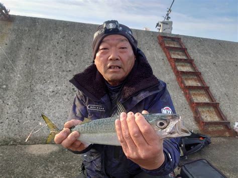 大サバ情報 かときちの尼崎釣り公園andムコイチ日記