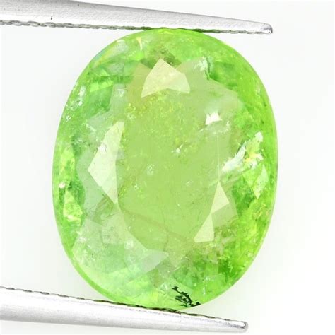 No Reserve Yellowish Green Paraiba Tourmaline Ct Catawiki