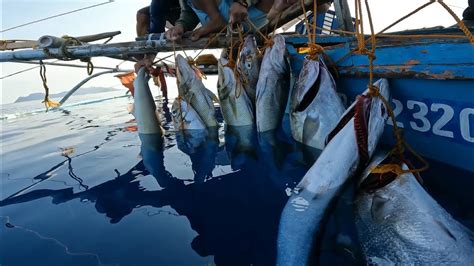 Nakarami Rin Sa Kitang Or Long Line Fishing CATCH SELL And COOK YouTube