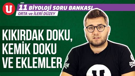 11 Sınıf Orta ve İleri Düzey Biyoloji Seans 10 Kıkırdak Doku