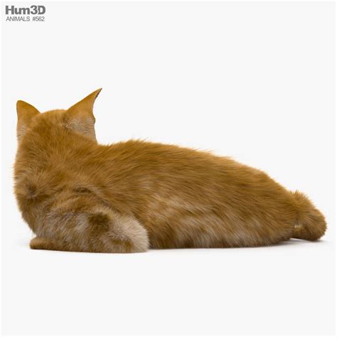 Cat Lying on Side 3D model - Download Mammals on 3DModels.org