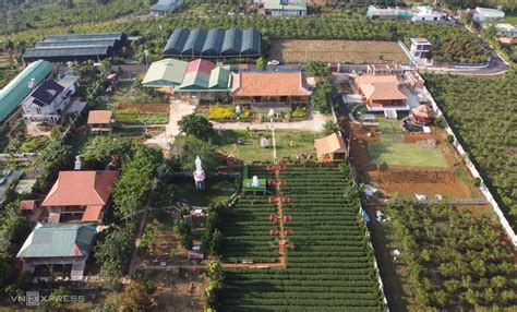 The temple on the tea hill » Vietnam News - Latest Updates and World Insights | Vietreader.com