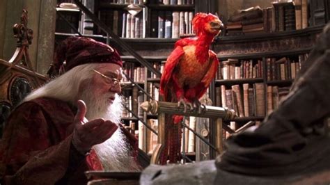 Harry Potter Creatures Trivia How Well Do You Know Creatures In Harry