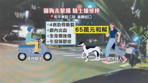 遛狗沒牽繩路上跑 騎士反應不及撞上摔斷肋骨 民視新聞網