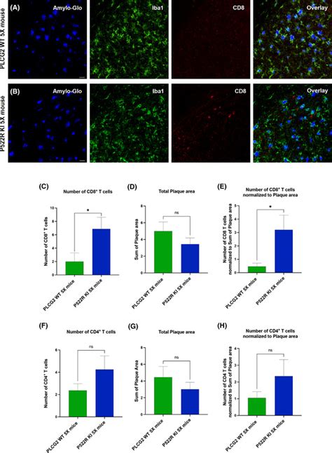 pr protective variant  plcg promotes  expression