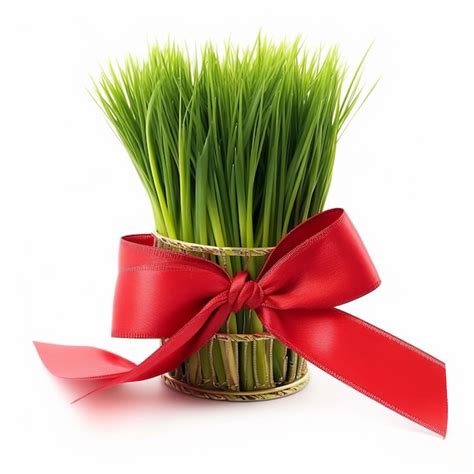 Nowruz Tradicional A O Nuevo Persa Wheatgrass Con Cinta Roja Aislada