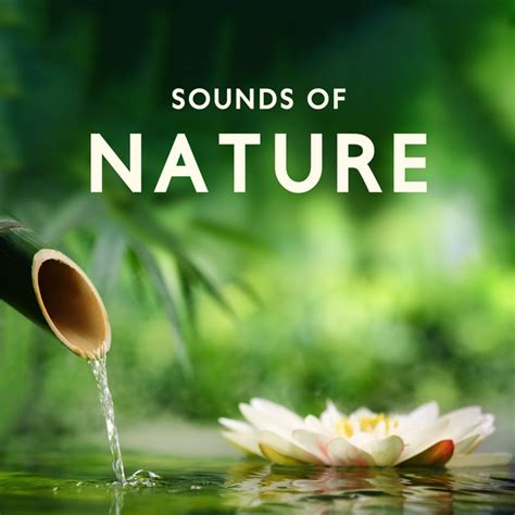 Sounds Of Nature Instrumental Melodies For Relax Meditation Spa And