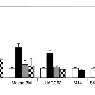 Chromatin Immunoprecipitation Assay Showing That Rar But Not Rar