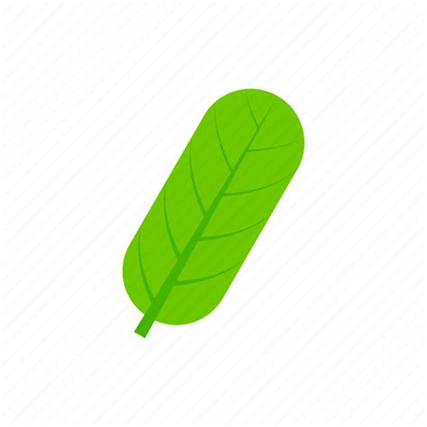 Green, leaf, oblong, summer icon - Download on Iconfinder