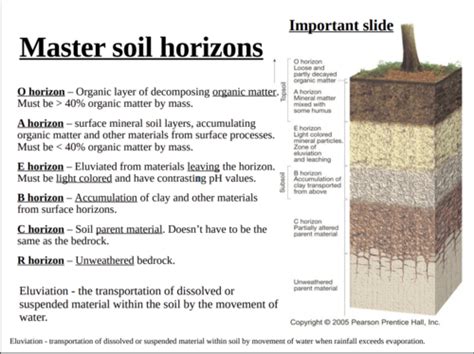 Weathering And Soils Flashcards Quizlet