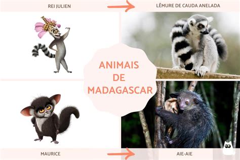 Nome Dos Bichinhos De Madagascar