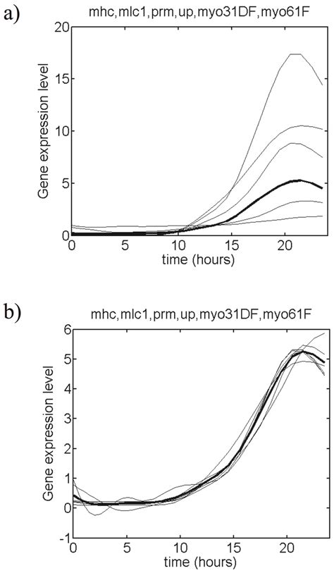 Drosophila Muscle Gene Expression Profiles Belonging To A Cluster The