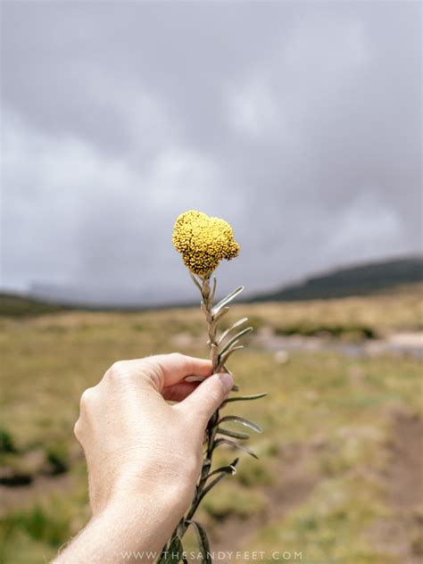 Hiking The Drakensberg's Amphitheatre Trail To The Roof Of Africa - The Sandy Feet