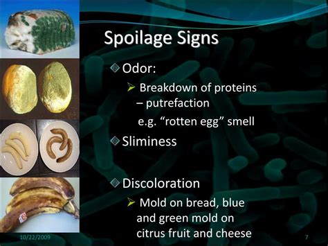 PPT - Food Spoilage: “Stinkies”, “Slimies” and Biofilms PowerPoint ...