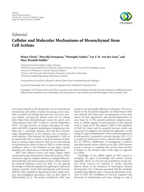 PDF Cellular And Molecular Mechanisms Of Mesenchymal Stem Cell