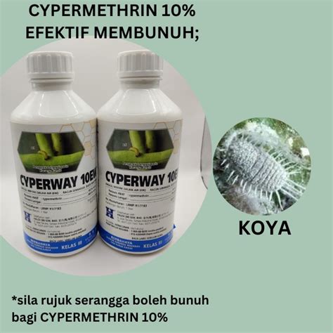 Racun Cypermethrin 10 Cyperway 1L Ulat Pengorek Tongkol Pucuk Buah