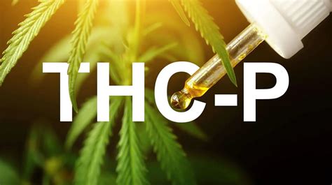 What Is THCP Unveiling Its Potency And Effects In Cannabis