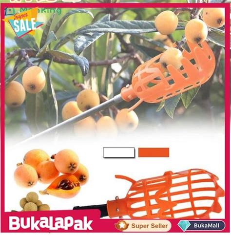 Jual Perlengkapan Taman Terbaru Fruit Picker Catcher Fruit Picking Tool