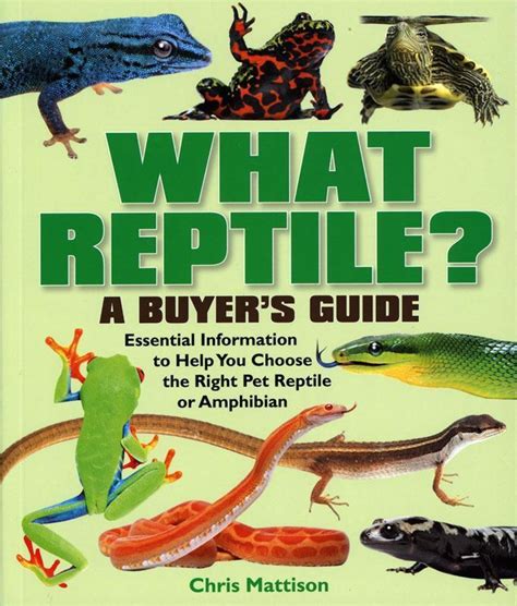 What Reptile Buyers Guide Care Book Kettering Koi