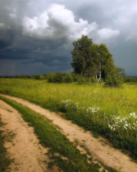 A Dirt Road In The Middle Of A Grassy Field With Trees And Flowers On