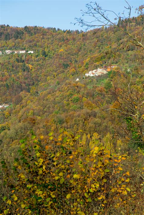 Valli Del Natisone Experience Benvenuti Alla Casa Delle Noci