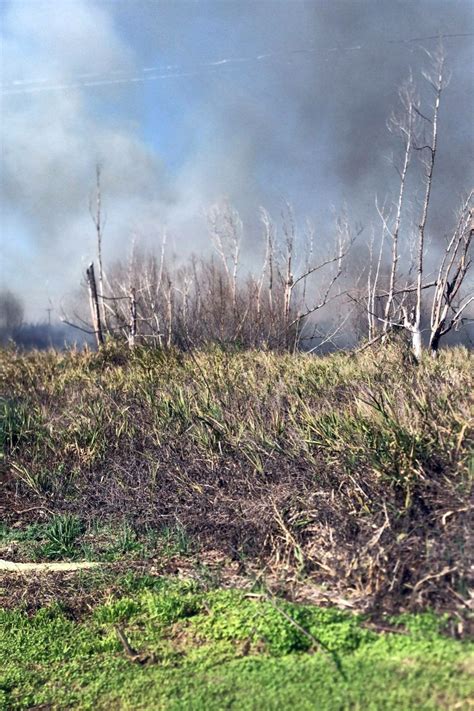 Crónica de un día agitado incendios en la Isla ardua tarea de