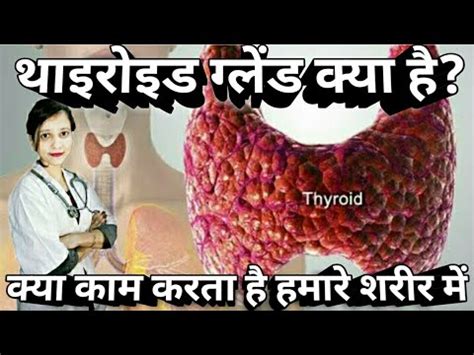 Thyroid Function In Hindi Thyroid Gland Function Thyroid Ka Kya Kam