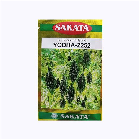 Yodha 2252 Bitter Gourd Seeds Sakata F1 Hybrid Buy Online Now Desikheti