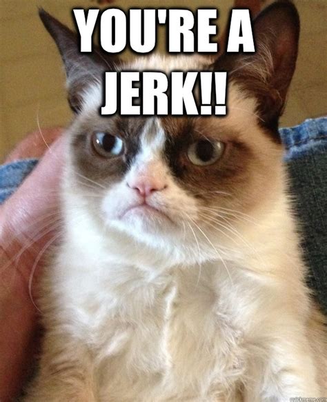 You Re A Jerk Grumpy Cat Quickmeme