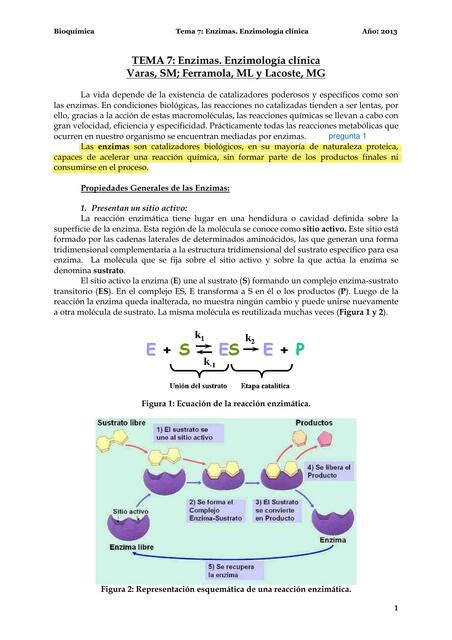 Enzimas Enzimolog A Cl Nica Varas Sm Ferramola Ml Y Lacoste Mg