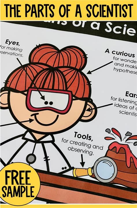 Science Poster for K-2 Classrooms in 2022 | Classroom posters, Science ...