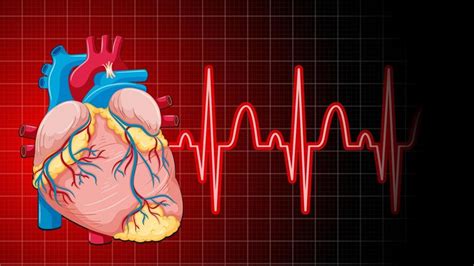 Problem With Heart Rate Expert Explains Arrhythmia Its Causes And