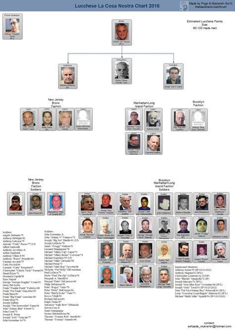 Mafia Family Leadership Charts | About The Mafia