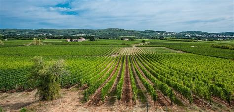 Les Trophées de lŒnotourisme 2024 les lauréats sont