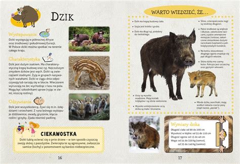 Moja Encyklopedia Zwierz T Kawa Ko Natalia Ksi Ka W Empik